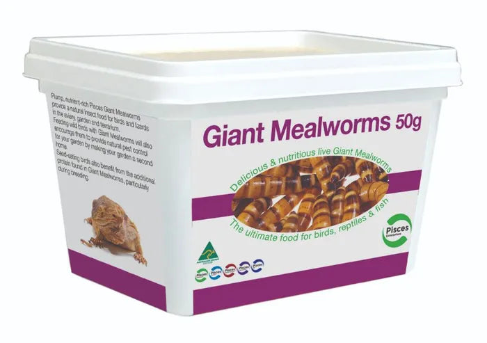 Giant Mealworms - 50G Tub