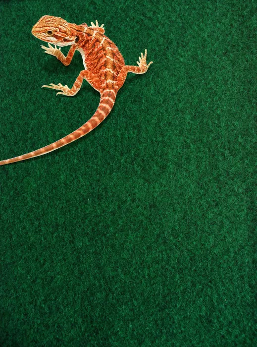 Komodo Reptile Carpet 120X60cm