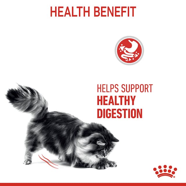 Royal Canin Digestive Care