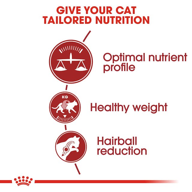 Royal Canin - Fit Dry Cat Food