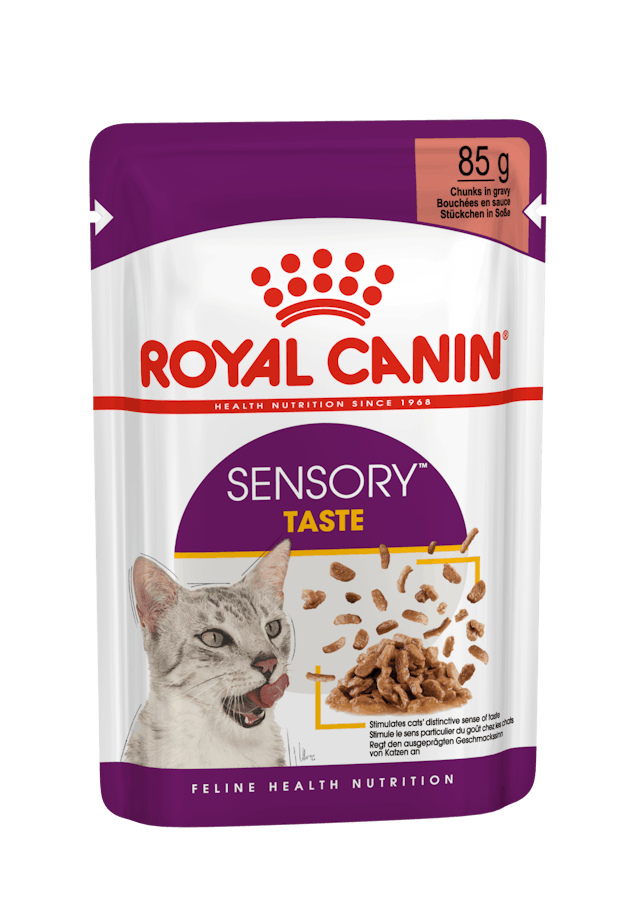 Royal Canin Sensory™ Taste Chunks in gravy 12x85g