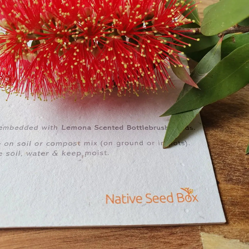 Heart cards - Bottlebrush