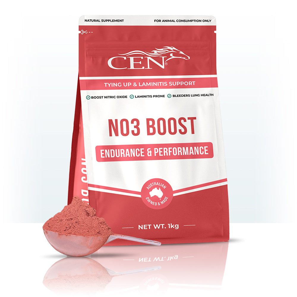 CEN NO3 Boost Horse Supplement