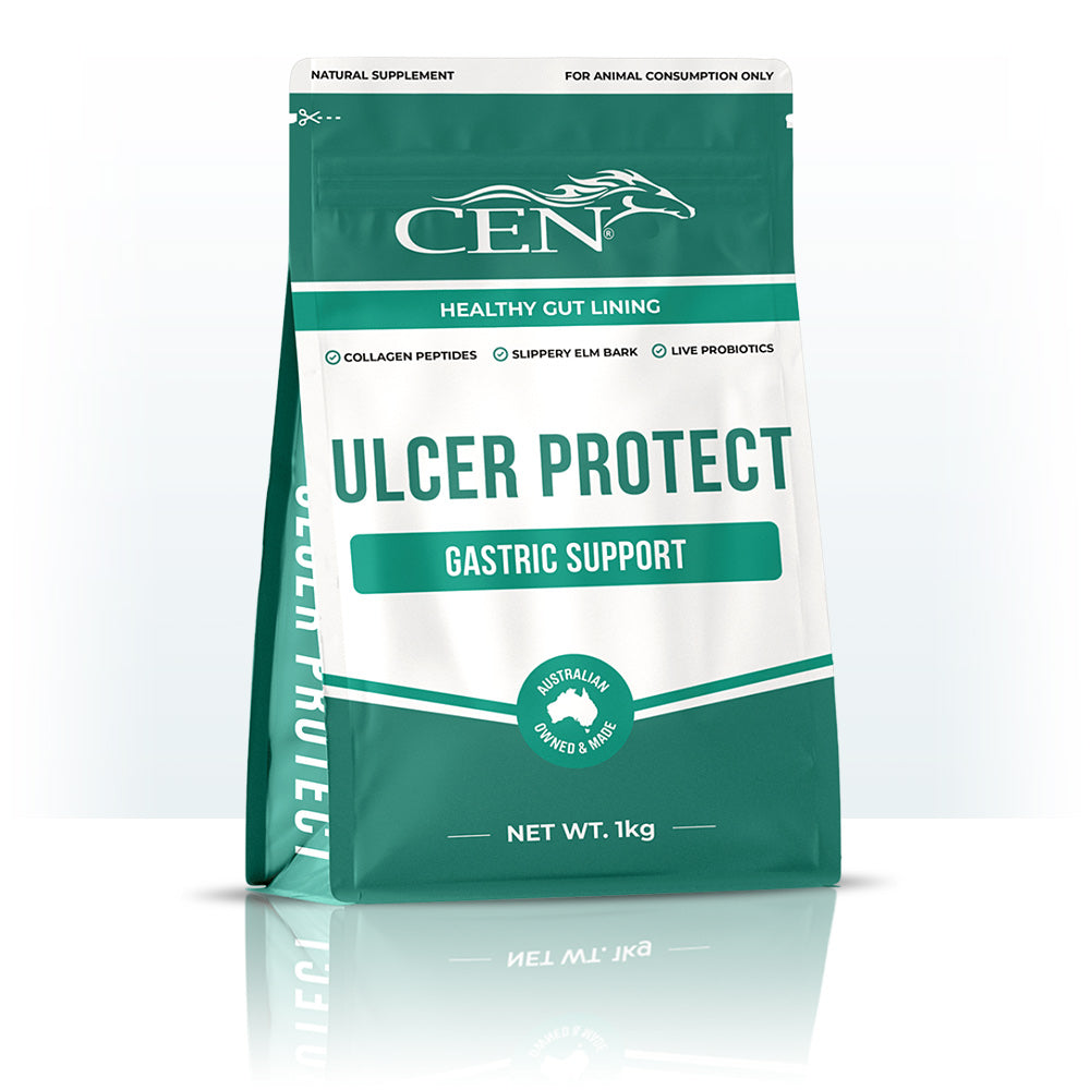 CEN Ulcer Protect Horse Supplement