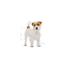 Load image into Gallery viewer, Royal Canin Jack Russell Adult
