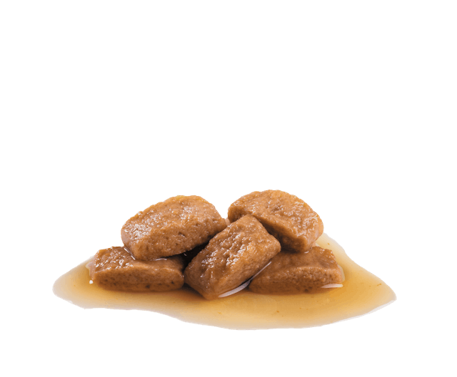 Royal Canin Maxi Adult Chunks in Gravy