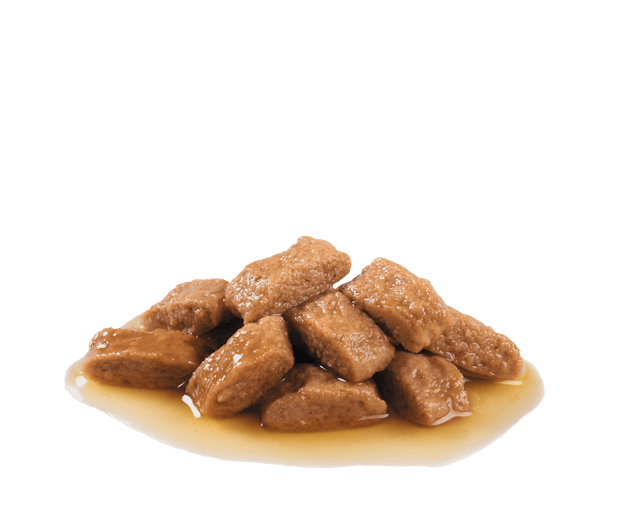 Royal Canin Medium Adult Chunks in Gravy