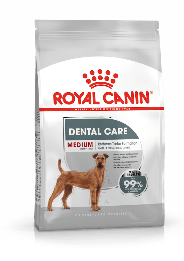 Royal Canin Medium Dental Care