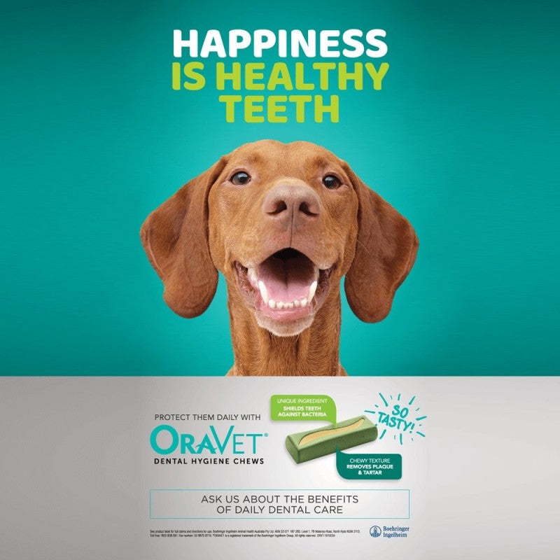 Oravet Large Dog Dental Chews 14 Pack