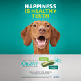 Load image into Gallery viewer, Oravet Medium Dog Dental Chews 28 Pack
