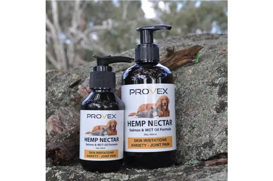 Provex Hemp Nectar for Dogs and Cats