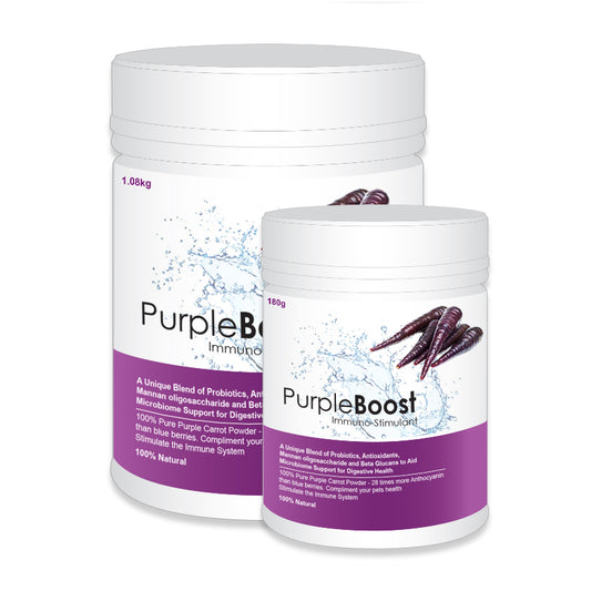 Lifewise Purple Boost 1.08kg