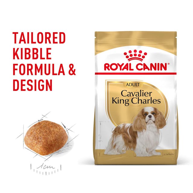 Royal Canin Cavalier Adult