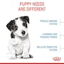 Load image into Gallery viewer, Royal Canin Mini Puppy
