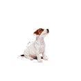 Load image into Gallery viewer, Royal Canin Mini Puppy 12x85g
