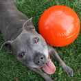 Load image into Gallery viewer, Aussie Dog - Staffie Ball
