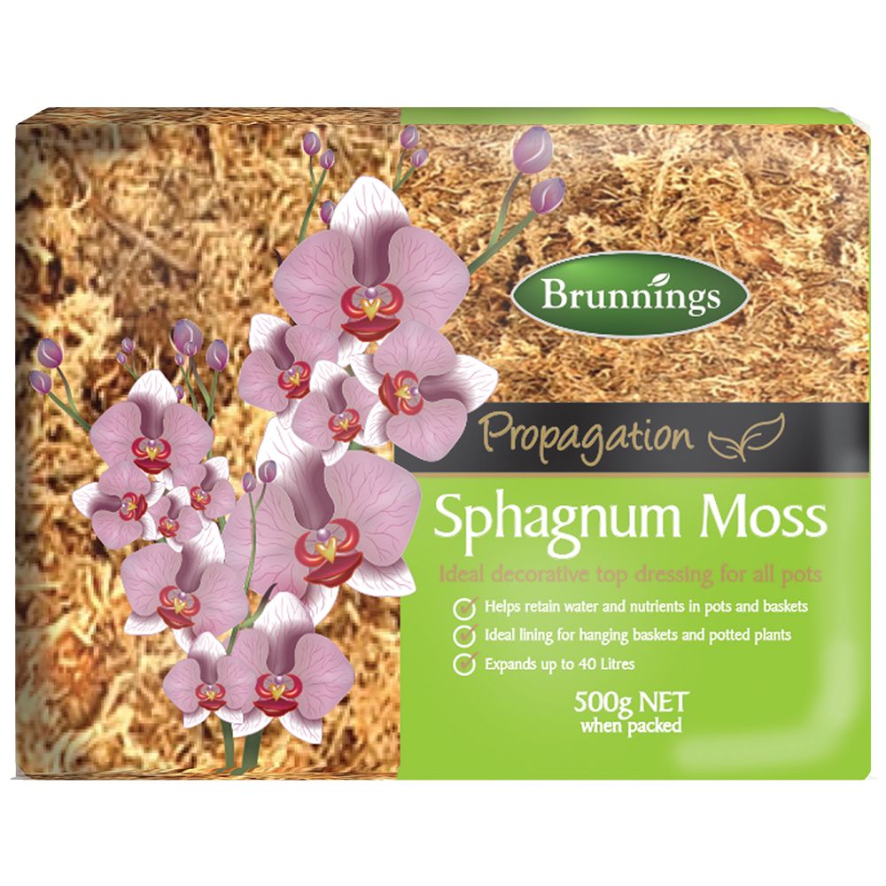 Sphagnum Moss