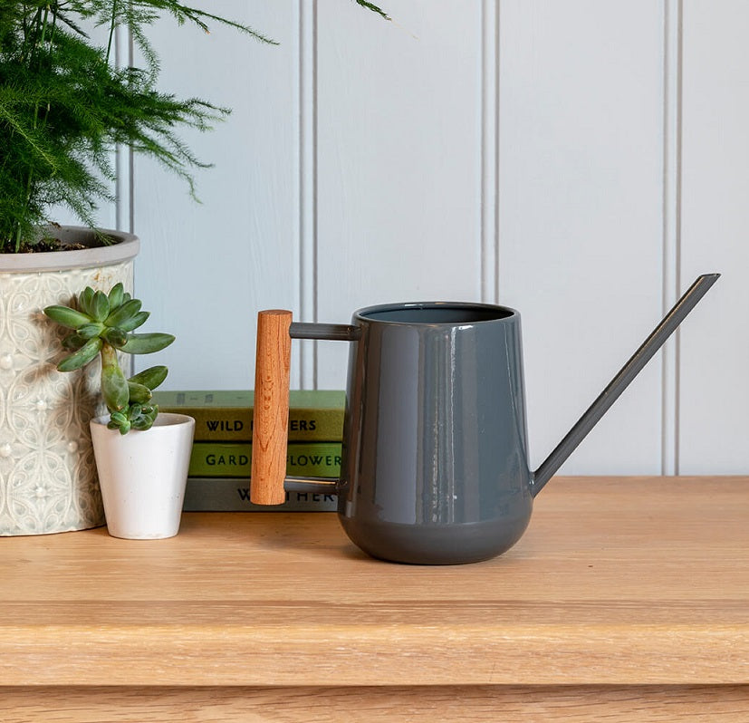 Indoor Watering Can