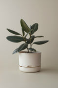 Load image into Gallery viewer, Mr Kitly Self Watering Pots 250mm
