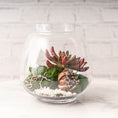 Load image into Gallery viewer, Round Glass Terrarium Bowl Clear
