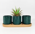 Load image into Gallery viewer, Zari Planters on Saucer H8cmx26cm
