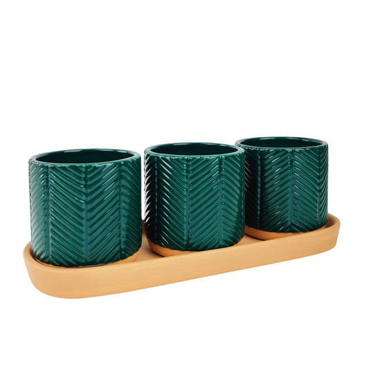 Zari Planters on Saucer H8cmx26cm